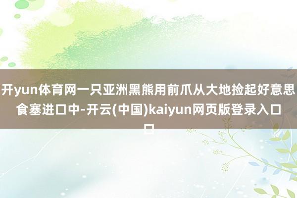 开yun体育网一只亚洲黑熊用前爪从大地捡起好意思食塞进口中-开云(中国)kaiyun网页版登录入口