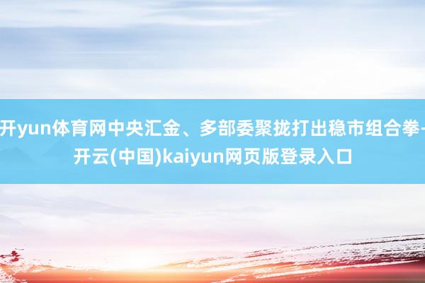 开yun体育网中央汇金、多部委聚拢打出稳市组合拳-开云(中国)kaiyun网页版登录入口