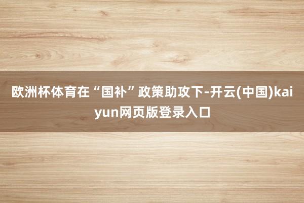 欧洲杯体育在“国补”政策助攻下-开云(中国)kaiyun网页版登录入口